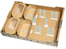 Vaschette per mirtilli 125gr (nuovo design)