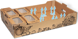 Vaschette con finestra trasparente per frutti di bosco per fragole e piccoli frutti 500gr